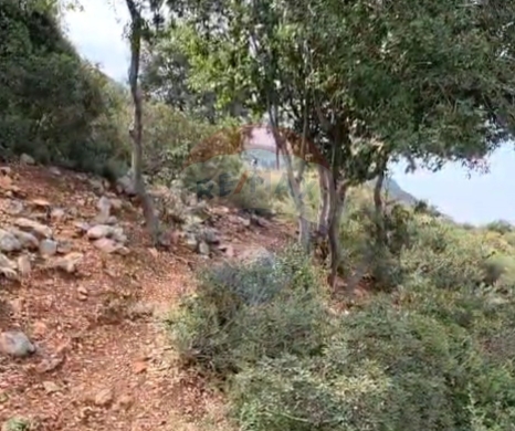 Lands for sale dans Qalamoun - R9-2689 Land for Sale - Qalamoun Highway, Tripoli