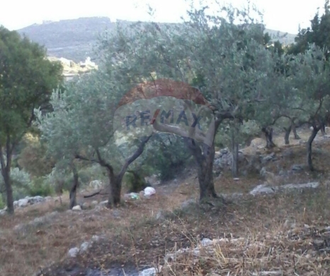اراضي للبيع في البترون - R9-2694 Land for Sale - Sourat, Batroun