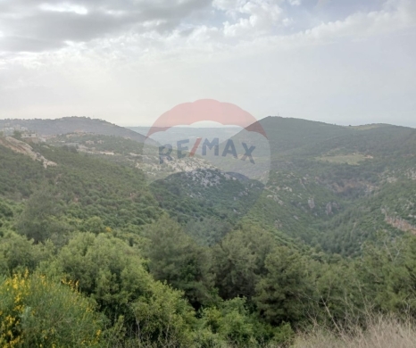 Lands for sale in Ehden - R9-2695 Land for Sale - Ehden Highway, North Lebanon