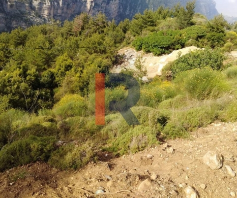 R9-2695 Land for Sale – Ehden Highway, North Lebanon — 2