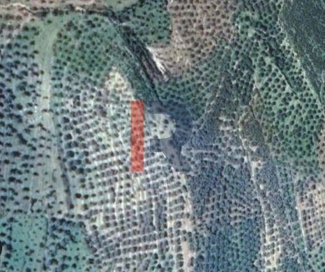 R9-2707 Residential Land for Sale in Bziza – Koura
