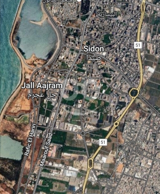 Lands for sale in Saida - أرض للبيع منطقة صيدا مساحة 10000 متر