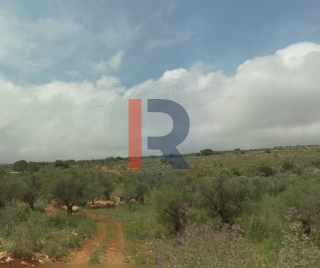 R9-2717 Residential Land for Sale in Bterram – Koura — 3