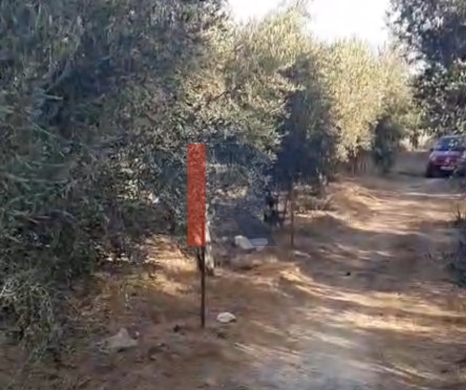 R9-2719 Land for Sale in Akkar El Bieri | 1,241m² | Olive Trees | Residential & … — 4