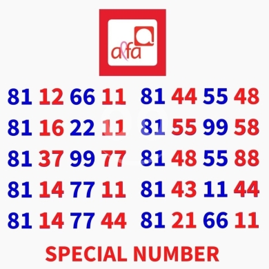 Phone numbers in Beirut City - New Special Alfa Recharge Delivery available
