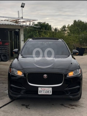 Jaguar in Ardeh - Jaguar f pace 2018