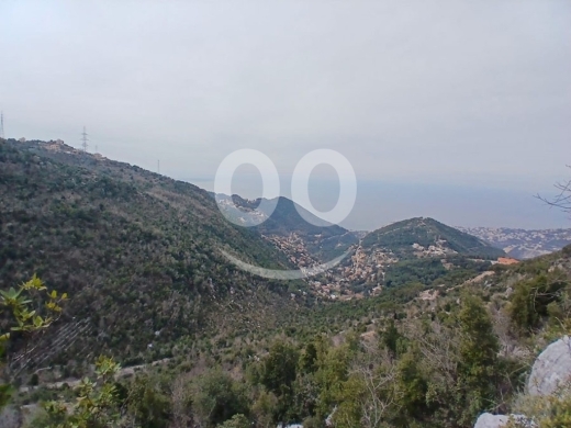 Lands for sale in Dlebta - Land for Sale Aghbe Kesserwan Area 3630Sqm & Arched 41Sqm