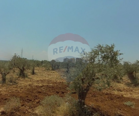 Lands for sale in Abou Samra - R9-2760 Land for Sale in Abou Samra - Tripoli | 2339m²
