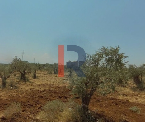 R9-2760 Land for Sale in Abou Samra – Tripoli | 2339m²