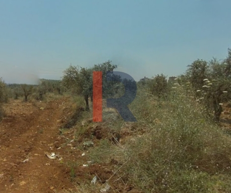 R9-2760 Land for Sale in Abou Samra – Tripoli | 2339m² — 3