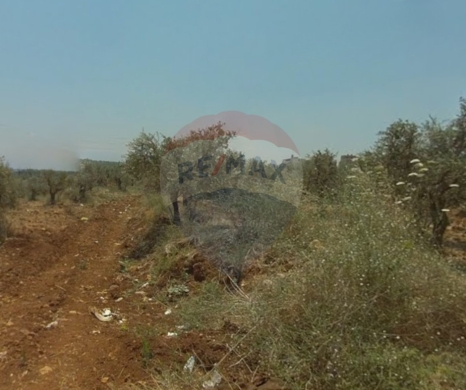 Lands for sale in Abou Samra - R9-2762 Development Land For Sale Near Jinan University
