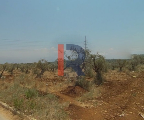 R9-2762 Development Land For Sale Near Jinan University — 2