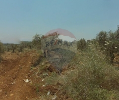 R9-2762 Development Land For Sale Near Jinan University