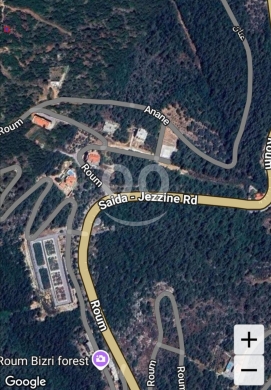 Lands for sale in Roum - أرض للبيع منطقة روم جزين مساحة 1065 متر