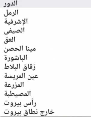 Other in Beirut City - دفع رسوم بلدية بيروت وضواحيها
