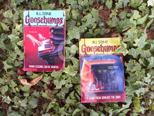Music, Films & Books in Bteghrine - 1 book 2$