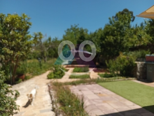 Lands for sale in Feytroun - Prime land with chalet+mountain view 4sale in Faytroun - أرض مع شاليه في فيطرونJA77L75
