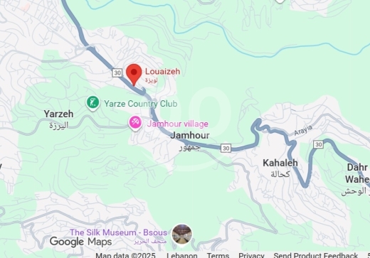 Lands for sale in Loueizeh - 1000m2 Prime Land for sale in Louaizeh - أرض للبيع في اللويزةPF73L37