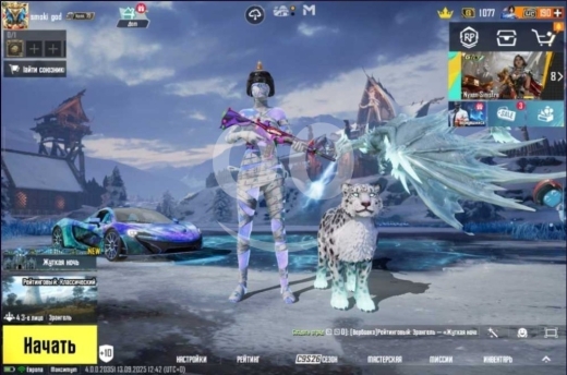 Gaming Console & Accessories dans Ain We Zein - Pubg account