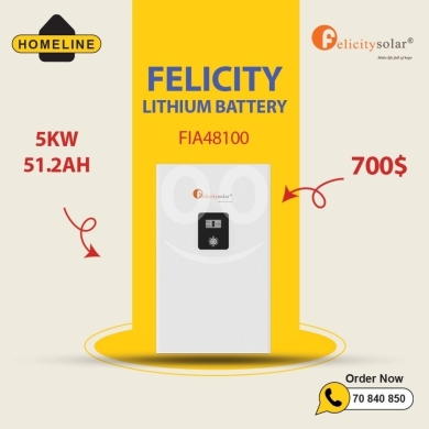Other home appliances dans Saïda - Felicity 5KW 51.2AH Lithium Battery | FIA48100 | Affordable Solar Storage