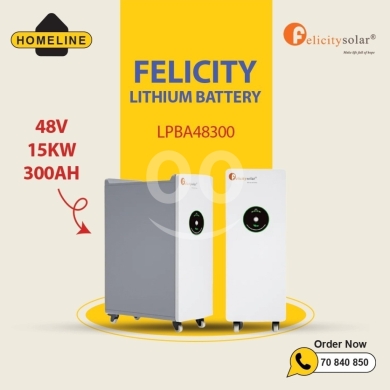 أجهزة منزلية أخرى في صيدا - Felicity 48V 15KW 300AH Lithium Battery | LPBA48300 | High-Capacity Solar Storage