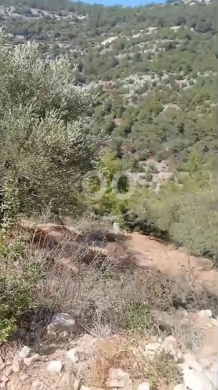 Lands for sale dans Qnat - Land for Sale Mazraat Aassaf Bsharri Area 985Sqm