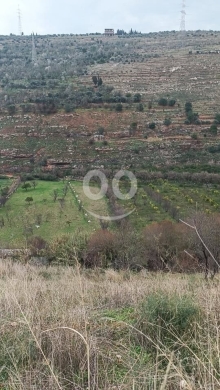 Lands for sale dans Tripoli - ارض حلوة