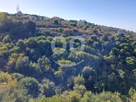 Land for Sale Maad Jbeil Area 5400Sqm — 3