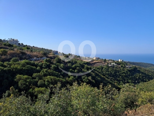 Land for Sale Maad Jbeil Area 5400Sqm — 2