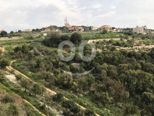 Lands for sale in Mounsef - Land for Sale Maad Jbeil Area 5400Sqm