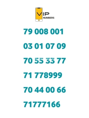 Phone numbers in Saida - أجمل رقم من عنا