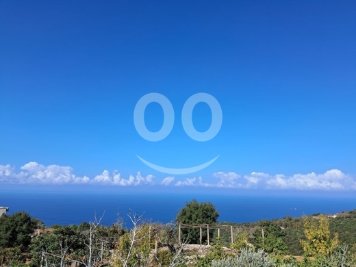 Land for Sale Chmout Jbeil Area 3818Sqm — 2