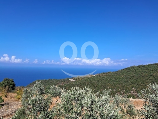 Land for Sale Chmout Jbeil Area 3818Sqm — 7