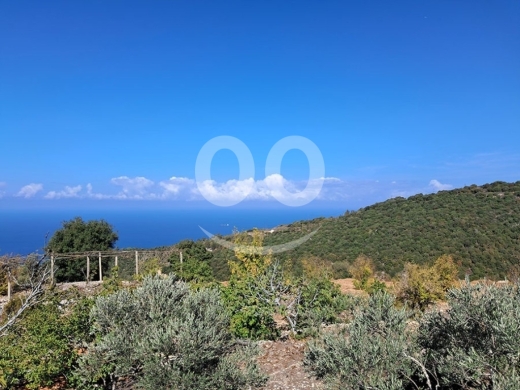 Land for Sale Chmout Jbeil Area 3818Sqm — 3