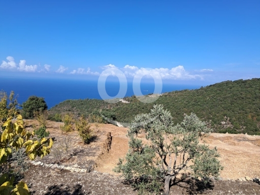 Land for Sale Chmout Jbeil Area 3818Sqm — 4