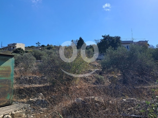 Land for Sale Chmout Jbeil Area 3818Sqm — 6