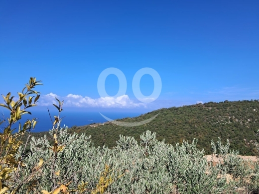 Land for Sale Chmout Jbeil Area 3818Sqm — 5