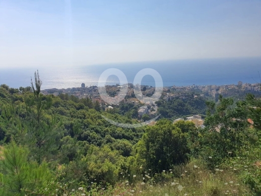 Lands for sale in Adma - عقار للبيع في ادما