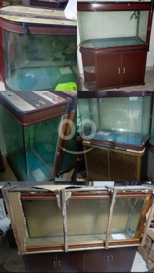 Autres biens dans Tripoli - اكواريومات للبيع