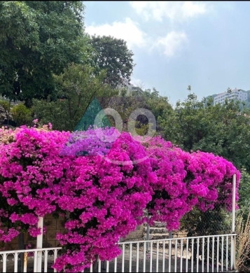 Apartments for sale in Ain el-Rihani - 170m2 apartment+garden+open view 4sale in Ain El Rihaneh- عين الريحانةJS70A66