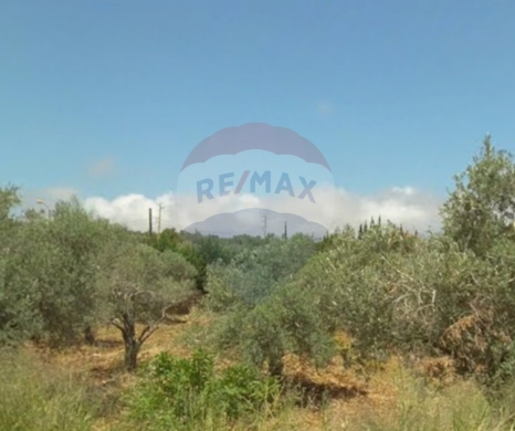 اراضي للبيع في ضهر العين - R9-2841 Residential Land for Sale in Nakhleh - 1,250 m²