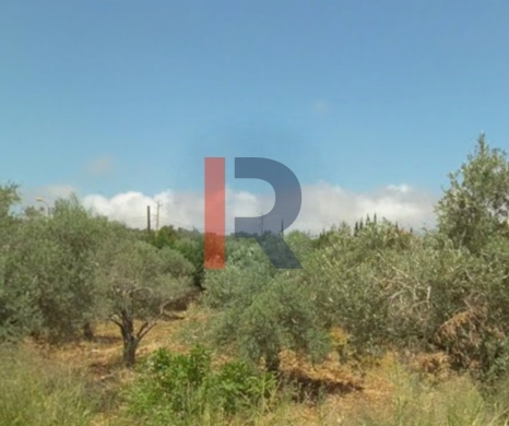 R9-2841 Residential Land for Sale in Nakhleh – 1,250 m²