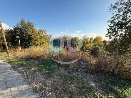 Lands for sale in Feytroun - 1214m2 Prime Land+Mountain View 4sale in Faitroun-أرض للبيع في فيطرونAM66L105