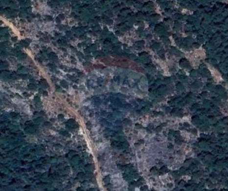 R9-2843 Large Residential Land for Sale in Zgharta – 26,000 m² with 25/50 Zoning