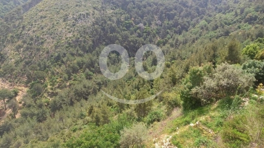 Lands for sale in Bchamoun - أرض للبيع في بشامون | 6,063 م² | تصنيف 75/25 وإطلالة بحرية مميزة جدًا