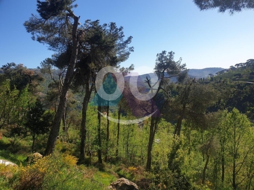 Lands for sale in Baskinta - 1048m2 land +Mountain View for sale in Baskinta - أرض للبيع في بسكنتاNE15L107