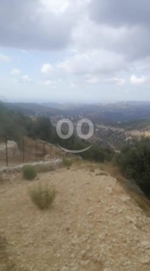 Land for Sale Daael Batroun Area 1878Sqm — 2