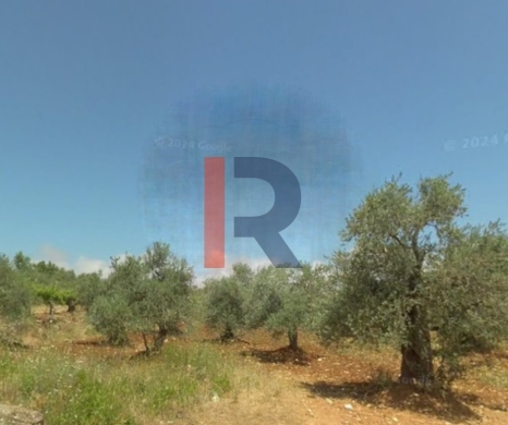 R9-2871 Land for Sale in Nakhleh Koura – 1255 m² with Zoning 30/90