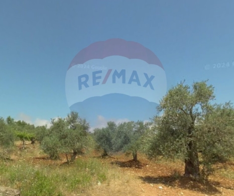 Lands for sale dans Nakhleh - R9-2871 Land for Sale in Nakhleh Koura - 1255 m² with Zoning 30/90