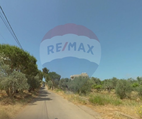 R9-2874 Residential Land for Sale 1207 m – Nakhleh with Full Infrastructure — 2